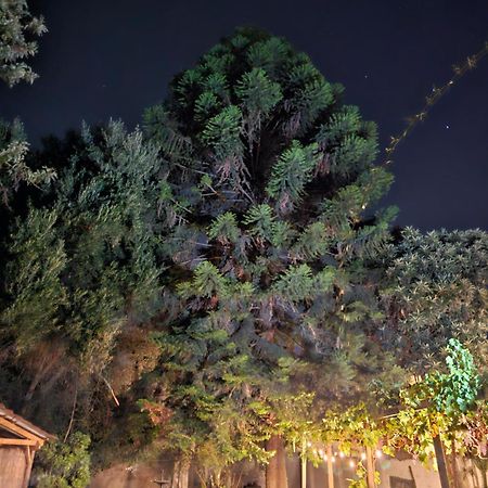 סן פליפה La Araucaria Cabana Con Tinaja מראה חיצוני תמונה