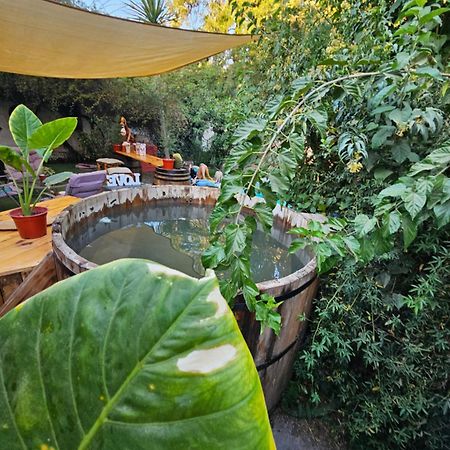 סן פליפה La Araucaria Cabana Con Tinaja מראה חיצוני תמונה
