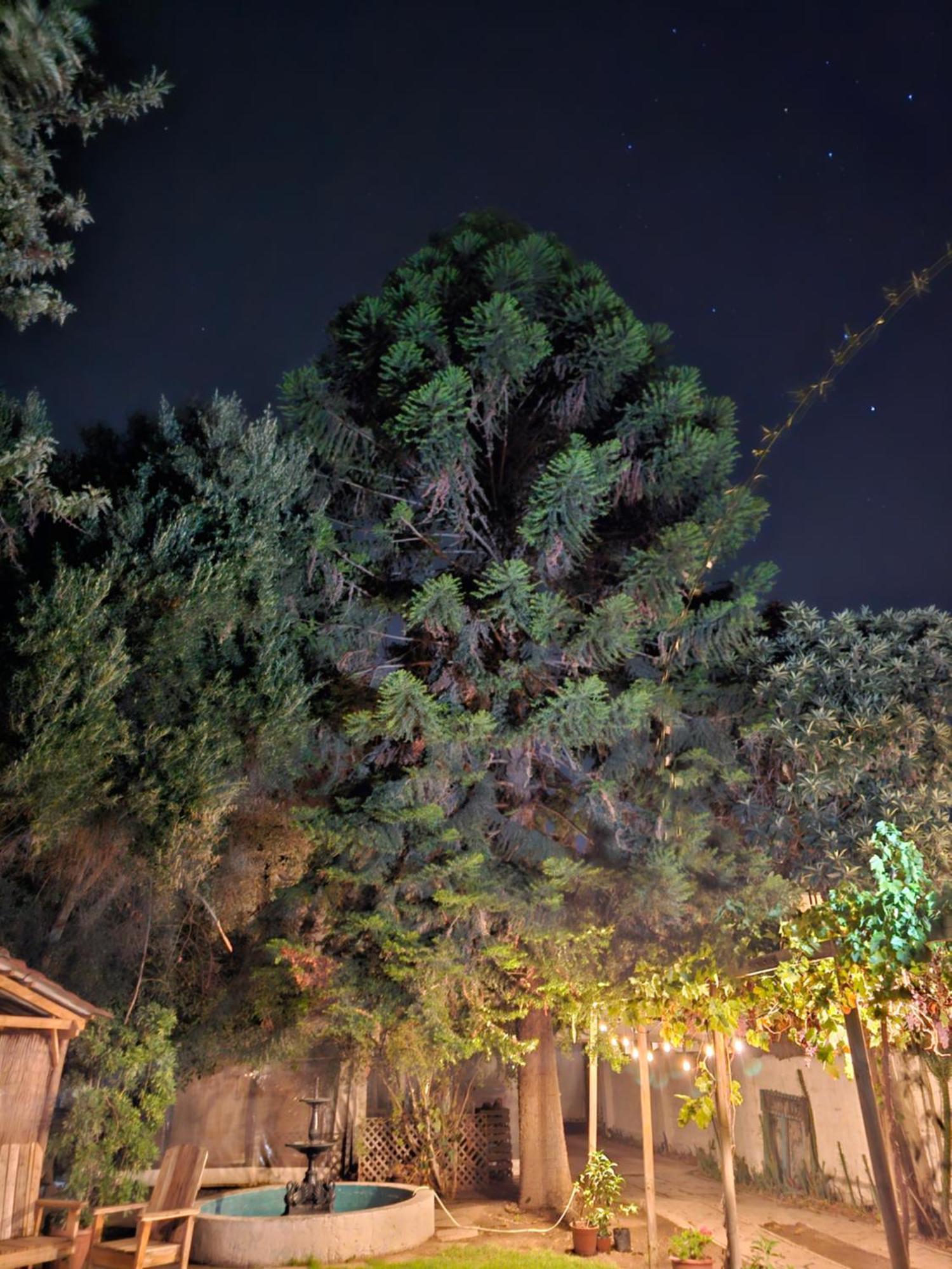 סן פליפה La Araucaria Cabana Con Tinaja מראה חיצוני תמונה