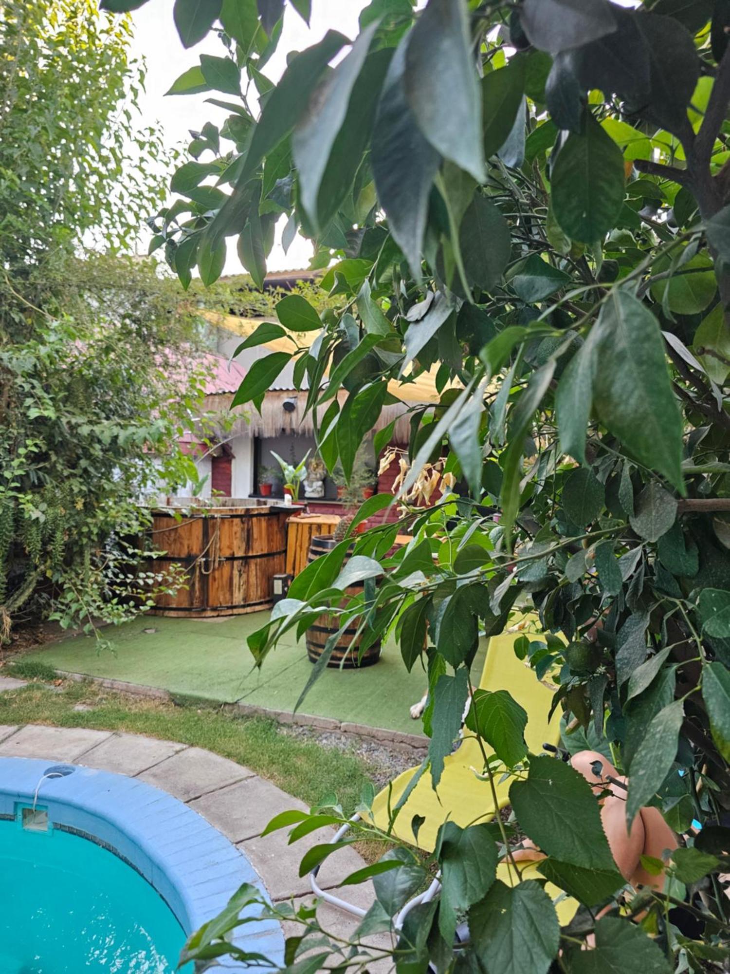 סן פליפה La Araucaria Cabana Con Tinaja מראה חיצוני תמונה