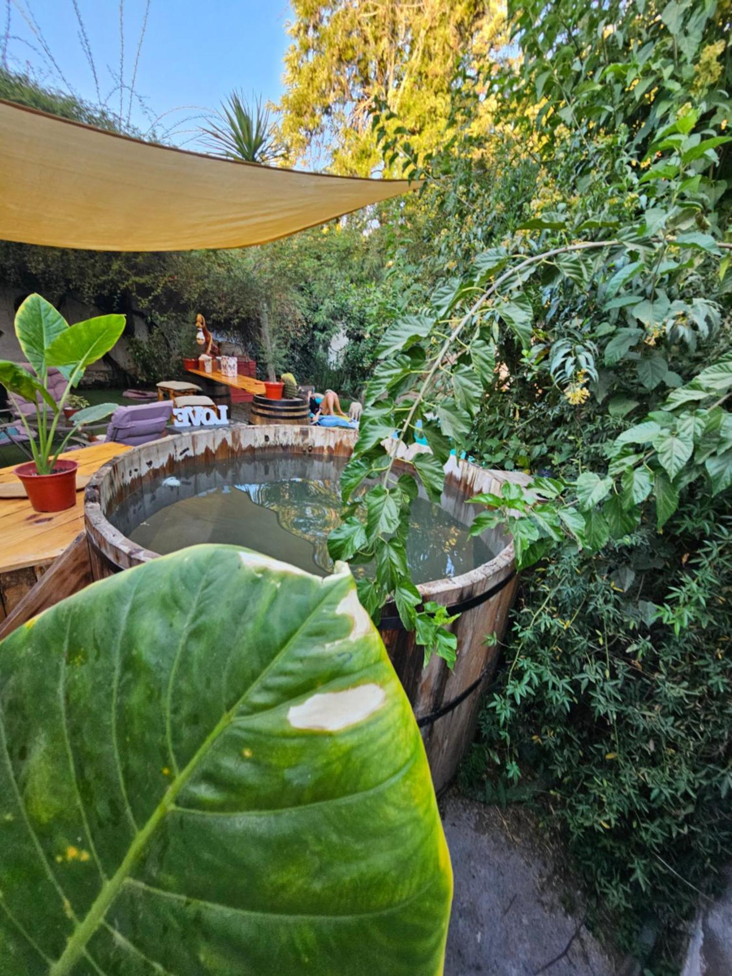 סן פליפה La Araucaria Cabana Con Tinaja מראה חיצוני תמונה