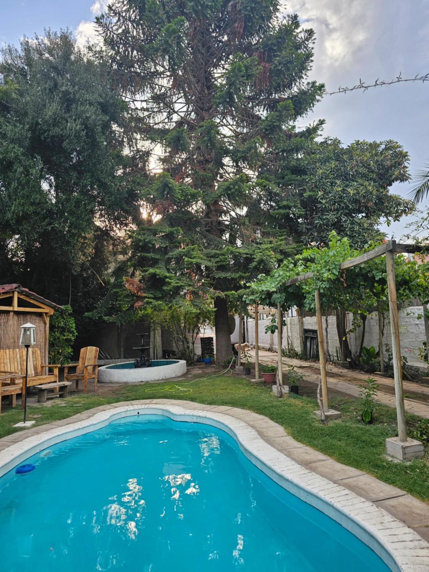 סן פליפה La Araucaria Cabana Con Tinaja מראה חיצוני תמונה